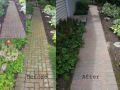 Patio paver cleaning